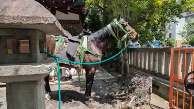 熊野神社(京都府)