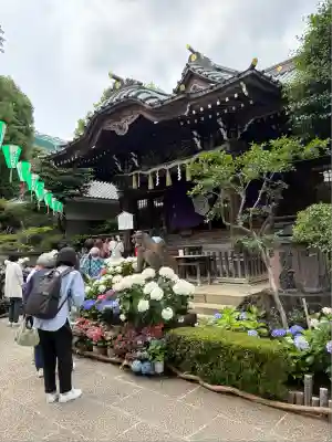 白山神社(東京都)