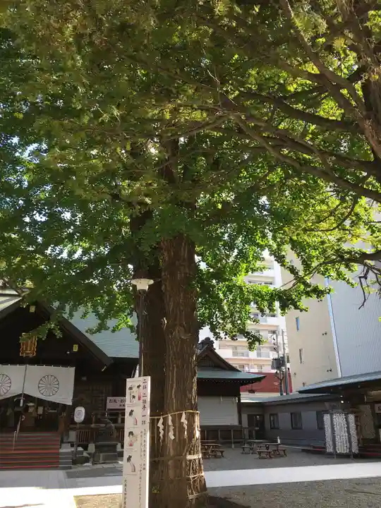 北海道神宮頓宮のその他建物