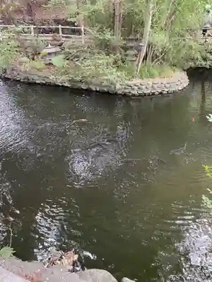 白石神社(北海道)