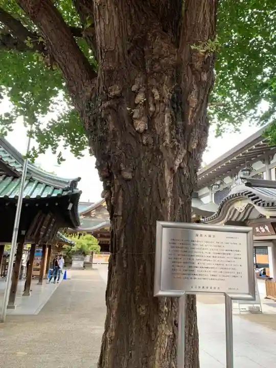 湯島天満宮の庭園