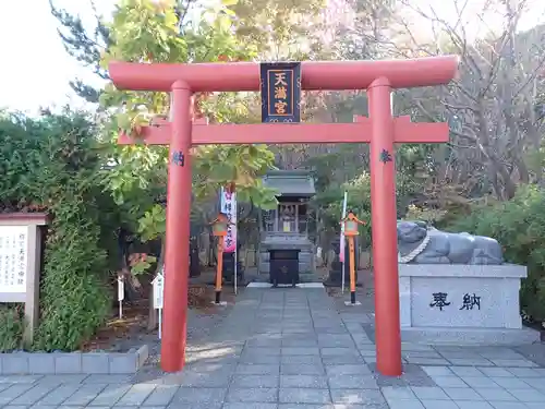 樽前山神社の鳥居