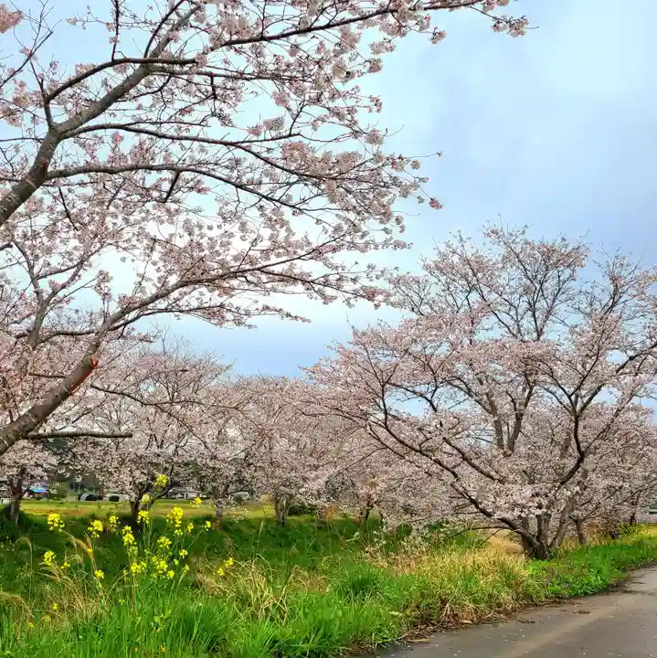 雨櫻神社(静岡県)