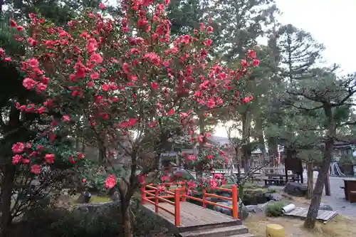 建部大社の自然