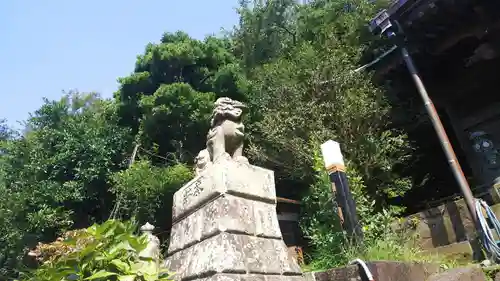 新井神社の狛犬