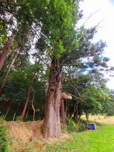 粟鹿神社(兵庫県)
