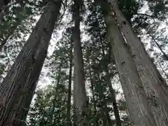 坪沼八幡神社(宮城県)