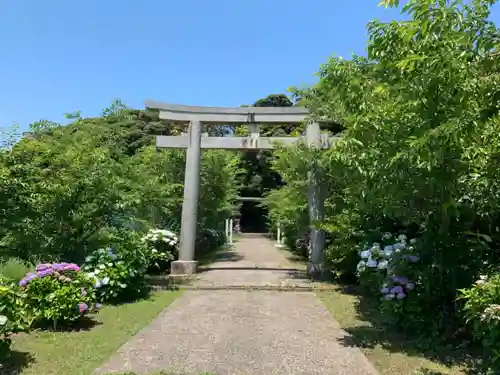 玉﨑神社の鳥居