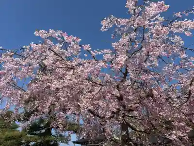 倶利迦羅不動寺鳳凰殿の{uncategorized: "未分類", other: "その他", undefined: "問題あり", building: "その他建物", grave: "お墓", sacred_gate: "鳥居", guardian: "狛犬", statue: "像", buddha: "仏像", history: "歴史", nature: "自然", garden: "庭園", animal: "動物", pagoda: "塔", temizu: "手水舎", mountain_gate: "山門・神門", sanctuary: "本殿・本堂", subordinate: "末社・摂社", art: "芸術", scenery: "景色", jizo: "地蔵", ema: "絵馬", goshuin: "御朱印", omikuji: "おみくじ", items: "授与品その他", amulet: "お守り", goshuincho: "御朱印帳", eats: "食事", festival: "お祭り", votive_dance: "神楽", shichigosan: "七五三参", wedding: "結婚式", experience: "体験その他", initially: "初詣", around: "周辺", anti_infection: "感染症対策"}