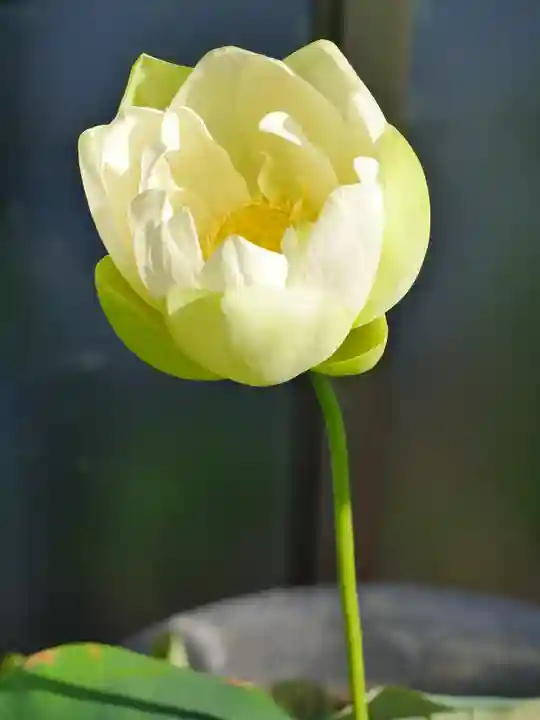 極楽山 浄土寺(北海道)