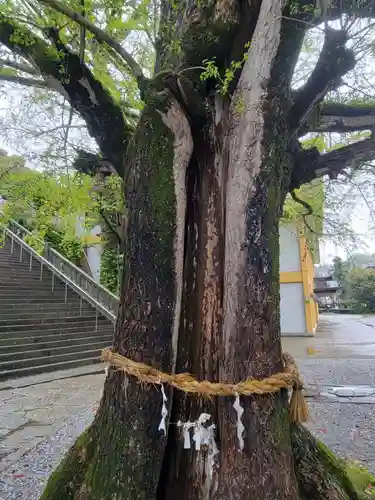 和霊神社(愛媛県)