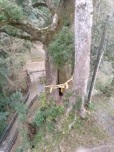 笠森寺(千葉県)
