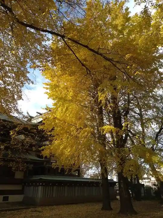 諏訪神社の自然