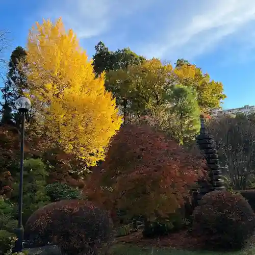 天台宗　長窪山　正覚寺の庭園