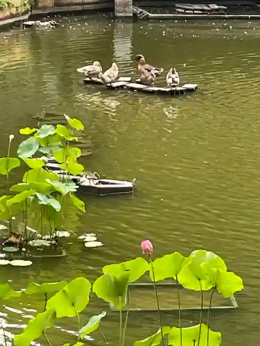 生田神社(兵庫県)