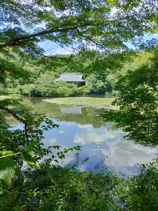 龍安寺(京都府)