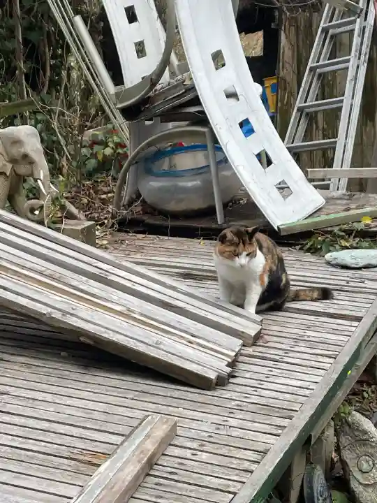 千光寺(広島県)