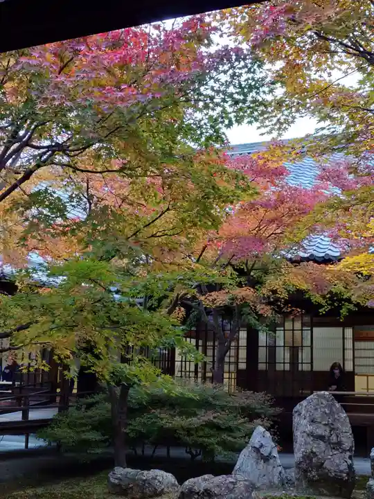 建仁寺(建仁禅寺)(京都府)