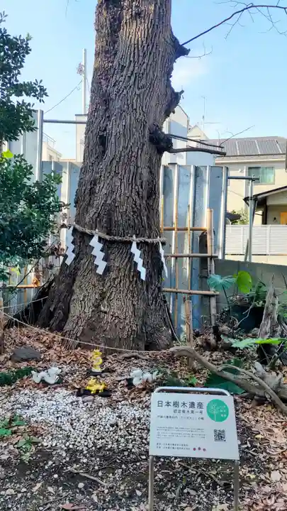 戸越八幡神社(東京都)