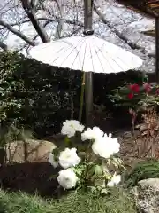 鶴岡八幡宮(神奈川県)