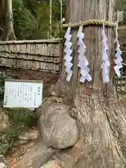 神場山神社(静岡県)