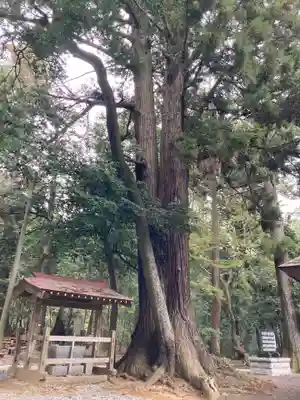 鴨鳥五所神社(茨城県)