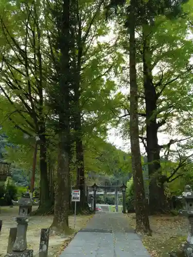 甲佐神社(熊本県)