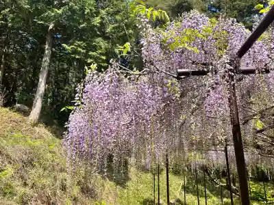 天台宗 五大山 白毫寺(兵庫県)