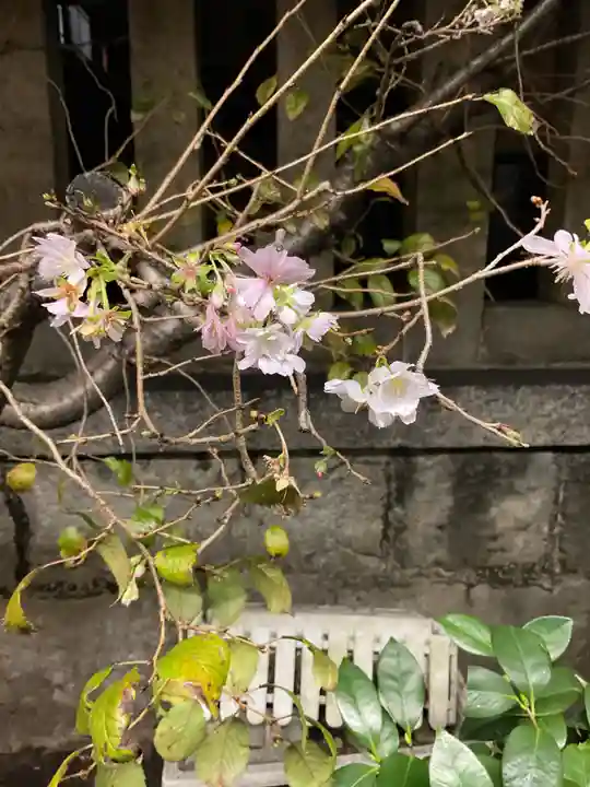 素盞男神社(愛知県)