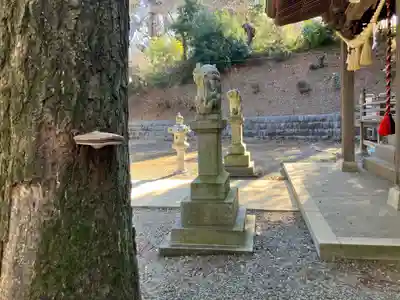 住吉神社(東京都)