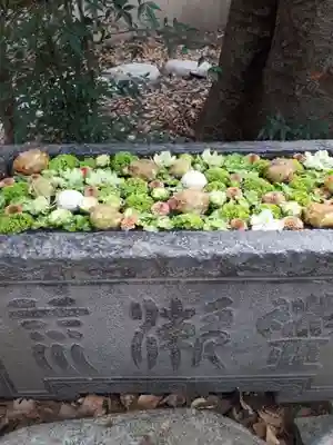 行田八幡神社の手水舎