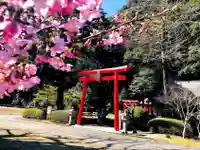 万江阿蘇神社の鳥居