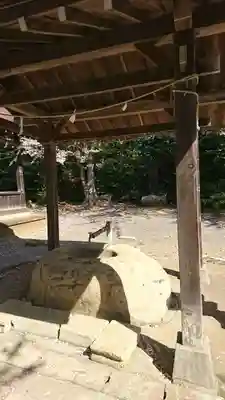 柏木神社の手水舎