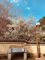 武蔵国分寺(東京都)