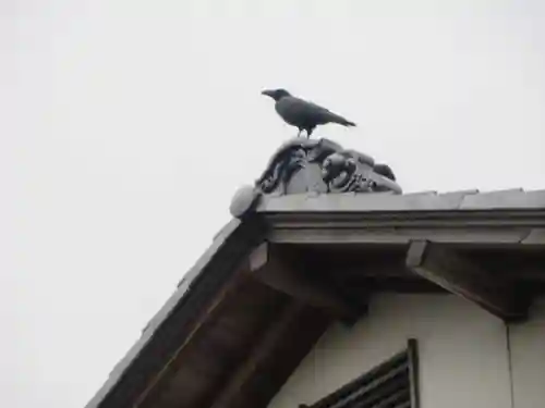 天祥寺(埼玉県)