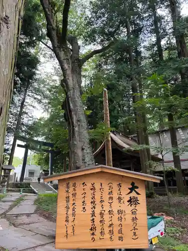 諏訪大社(長野県)