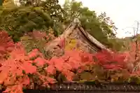 天授庵(京都府)