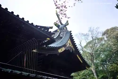 三嶋大社の本殿・本堂