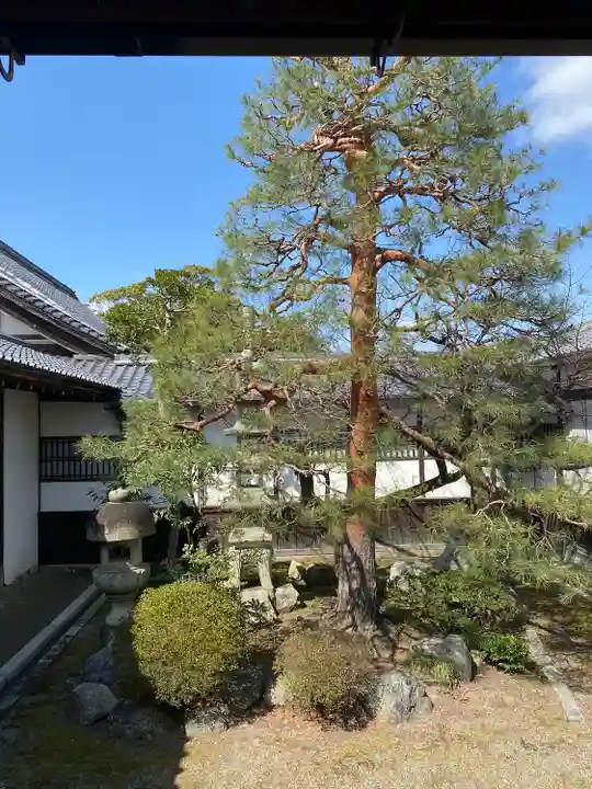 大通寺(長浜御坊)(滋賀県)