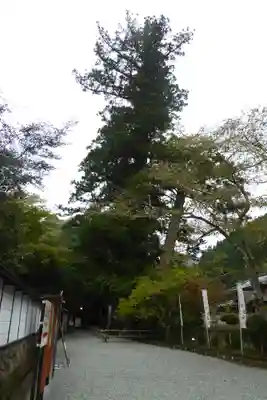 室生寺のその他建物