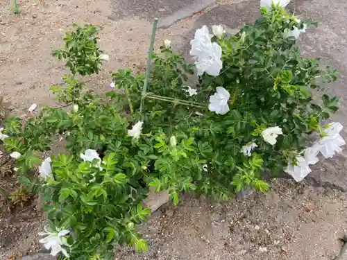 宝光寺(北海道)