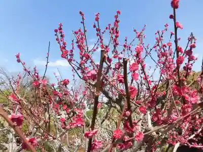 城南宮(京都府)