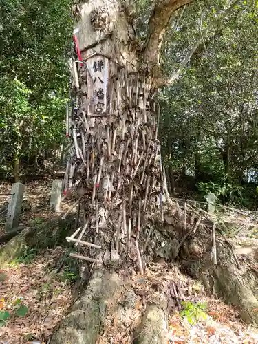 鎌八幡宮の自然