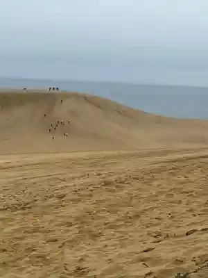 鳥取縣護國神社の周辺