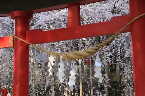 小川諏訪神社の鳥居