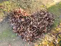 川田八幡神社の自然