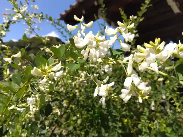 瑞源寺(福井県)
