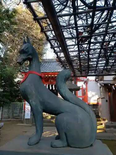 藤神稲荷神社の狛犬