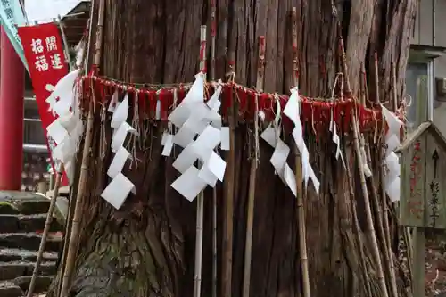 磐椅神社の自然