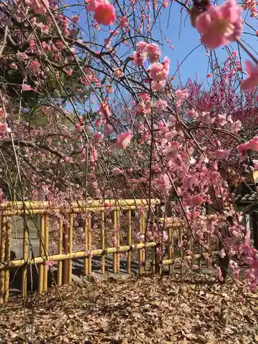 半城土天満神社の自然